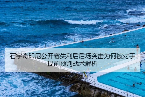 石宇奇印尼公开赛失利后后场突击为何被对手提前预判战术解析